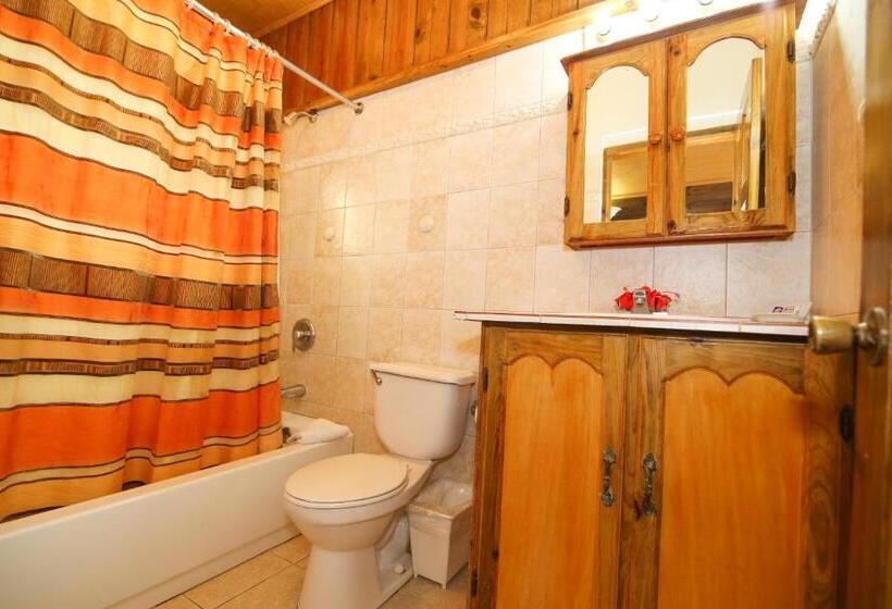 خانه 1 خوابه, Catcha Falling Star