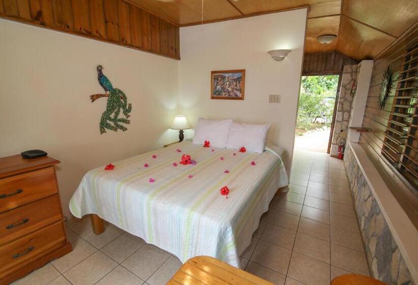 خانه 1 خوابه, Catcha Falling Star