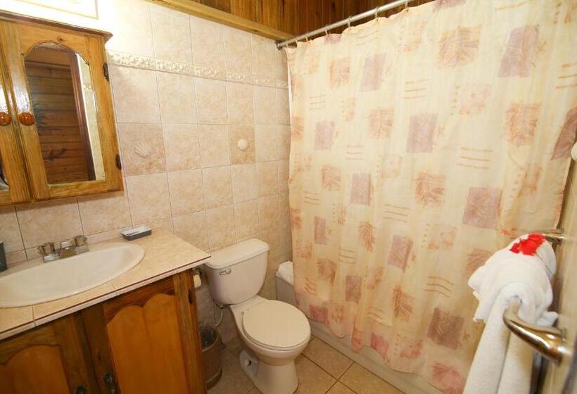 خانه 1 خوابه, Catcha Falling Star