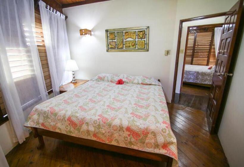 بانگلوی استاندارد, Catcha Falling Star