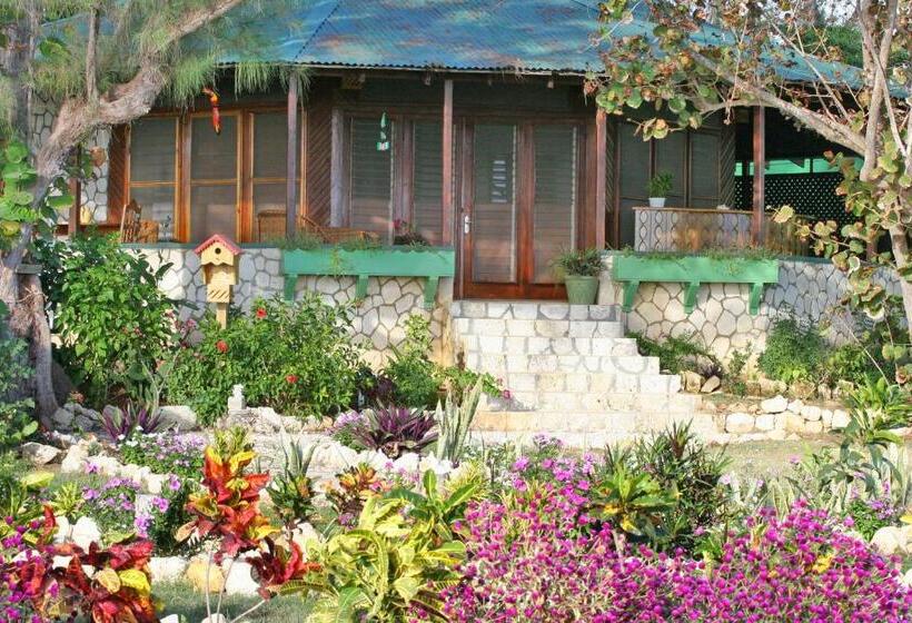 بانگلوی استاندارد, Catcha Falling Star