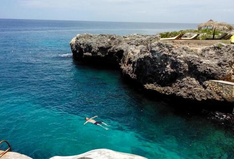 خانه 1 خوابه, Catcha Falling Star