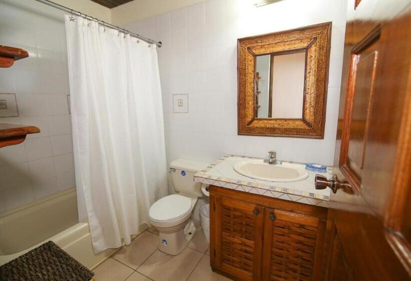 سوییت, Catcha Falling Star