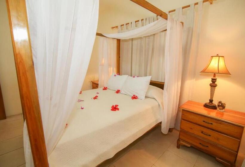 سوییت, Catcha Falling Star