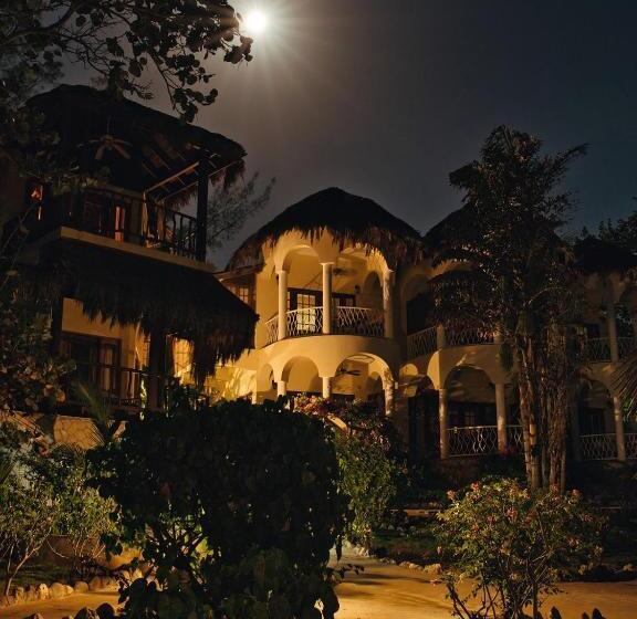 سوییت, Catcha Falling Star