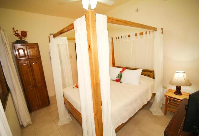 سوییت, Catcha Falling Star