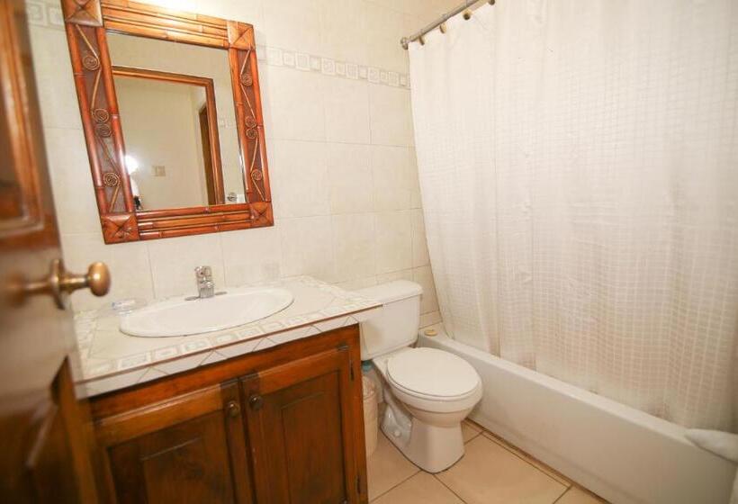 سوییت, Catcha Falling Star