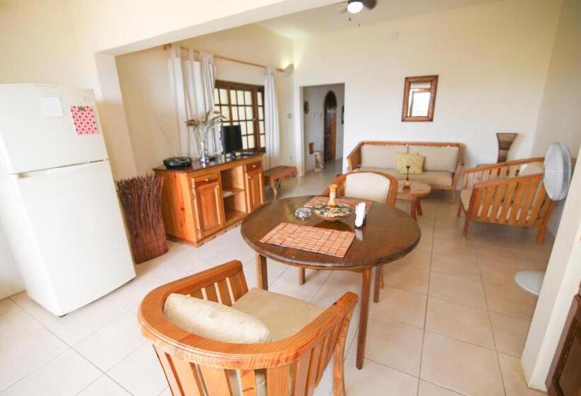 سوییت, Catcha Falling Star