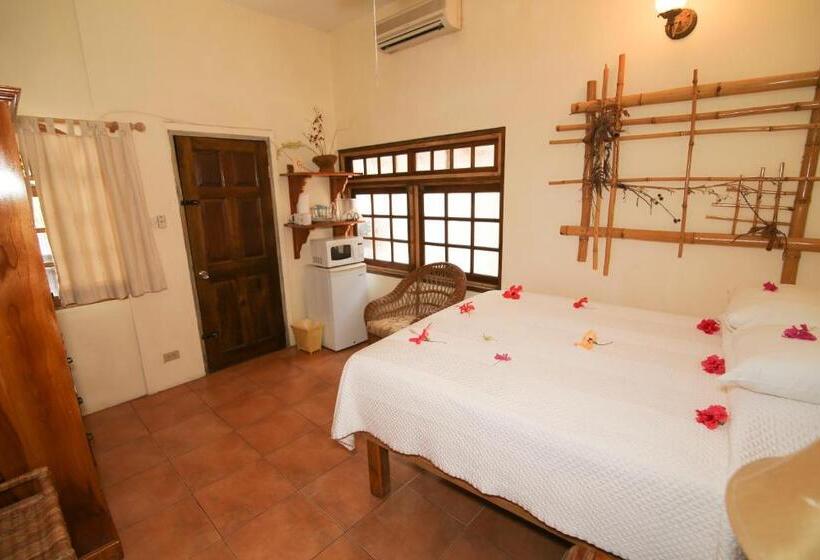 اتاق استاندارد, Catcha Falling Star