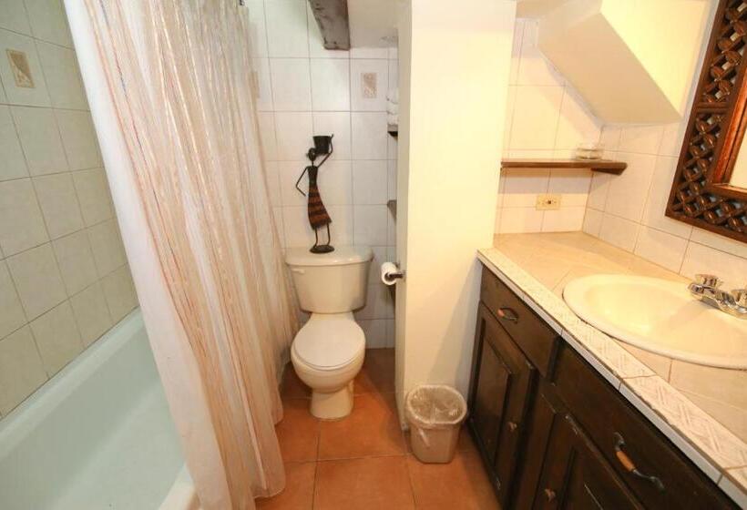 اتاق استاندارد, Catcha Falling Star