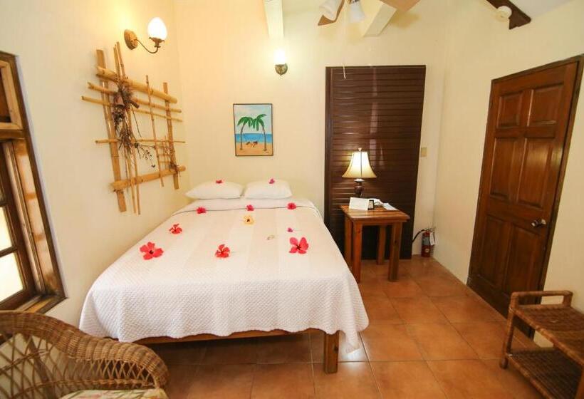 اتاق استاندارد, Catcha Falling Star