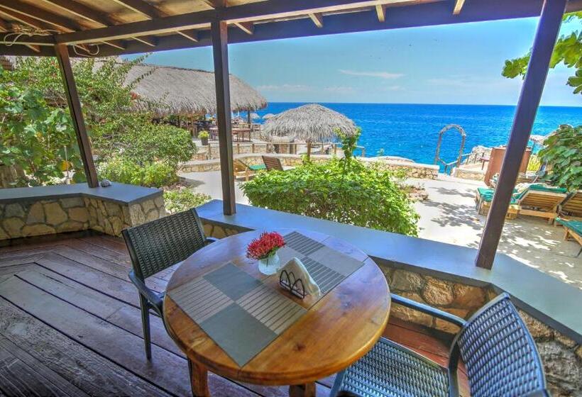 خانه 1 خوابه, Catcha Falling Star