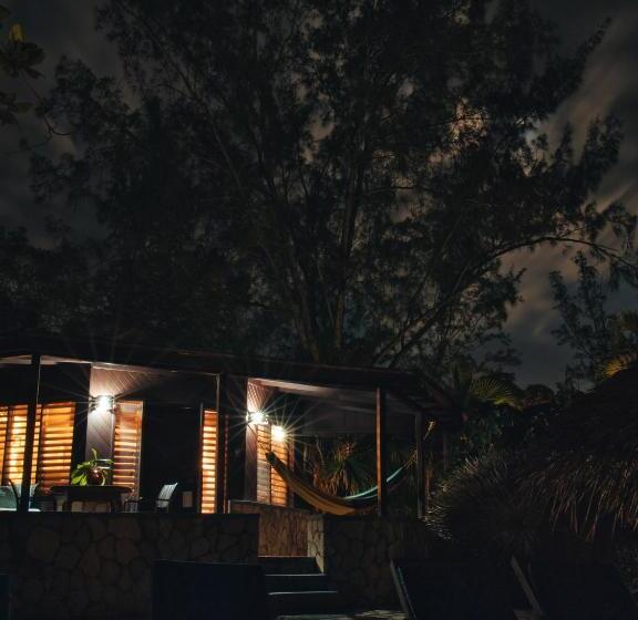 خانه 1 خوابه, Catcha Falling Star