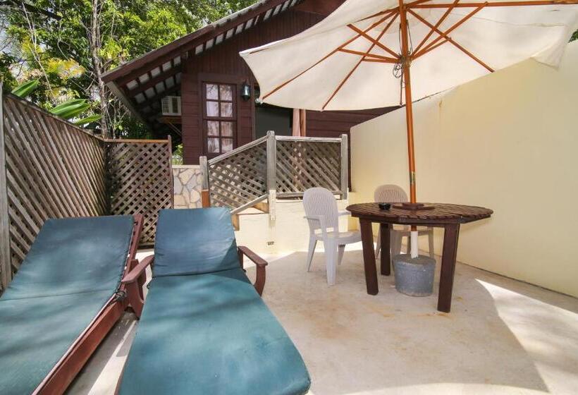 خانه 1 خوابه, Catcha Falling Star