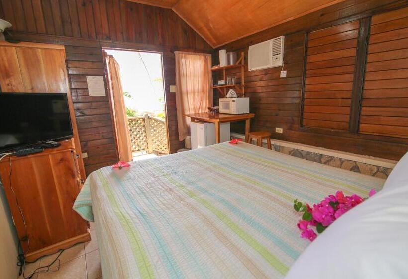 خانه 1 خوابه, Catcha Falling Star