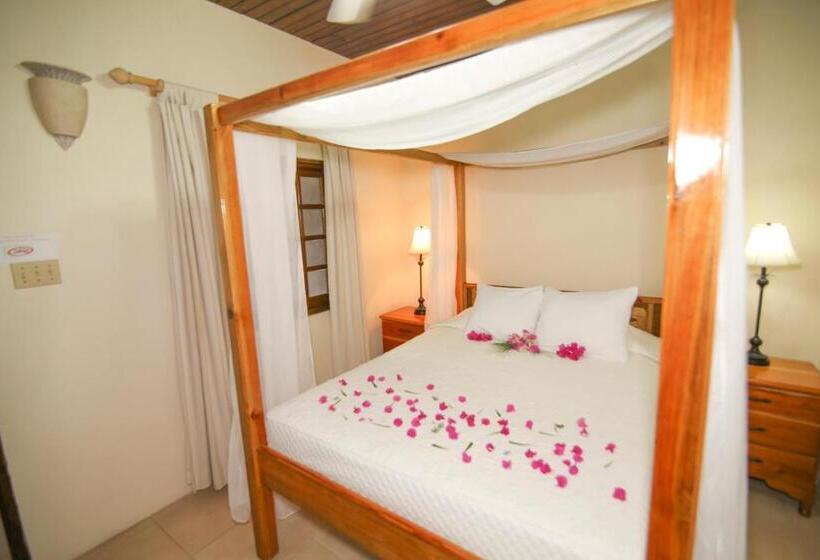 سوییت, Catcha Falling Star