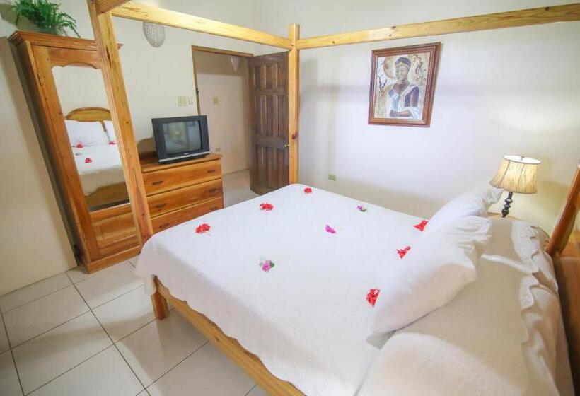 سوییت, Catcha Falling Star