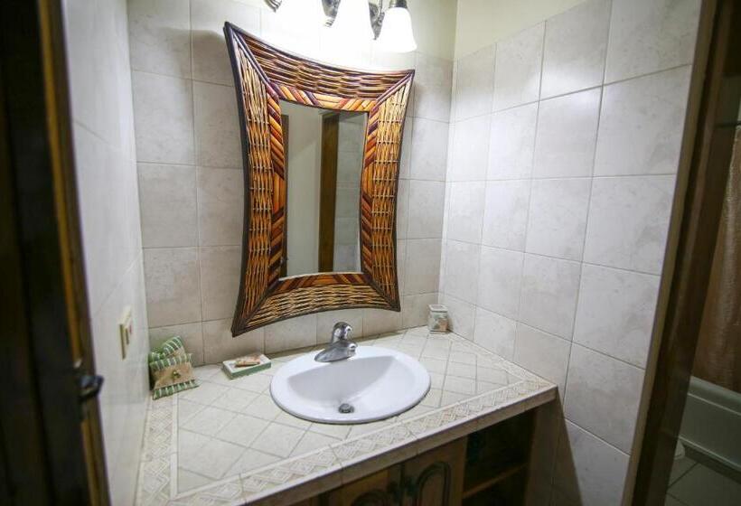 سوییت, Catcha Falling Star