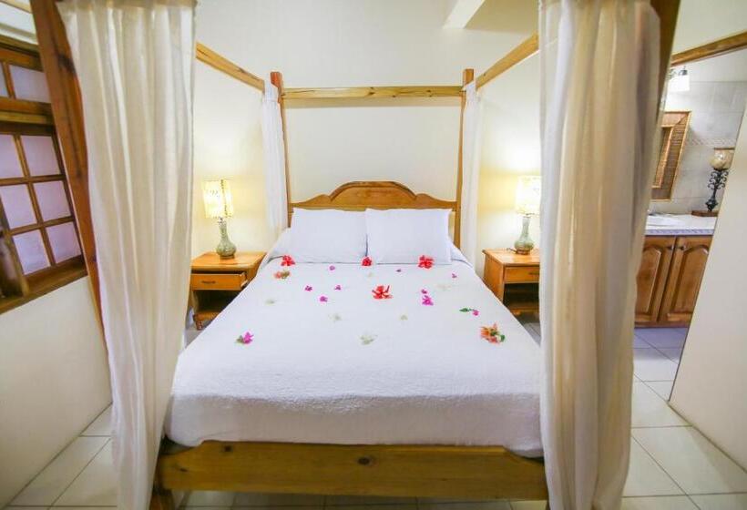 سوییت, Catcha Falling Star