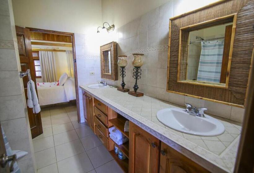 سوییت, Catcha Falling Star