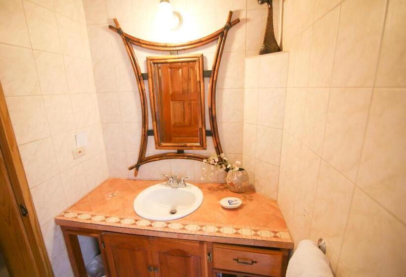 خانه 1 خوابه, Catcha Falling Star