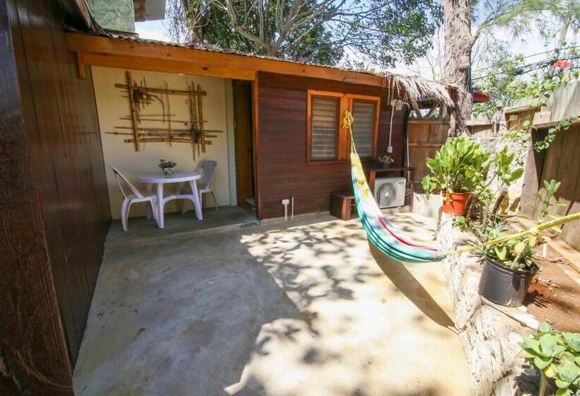 خانه 1 خوابه, Catcha Falling Star