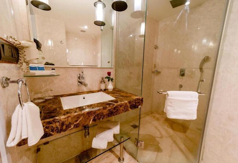 غرفة بريميوم, Sarovar Portico Jaipur