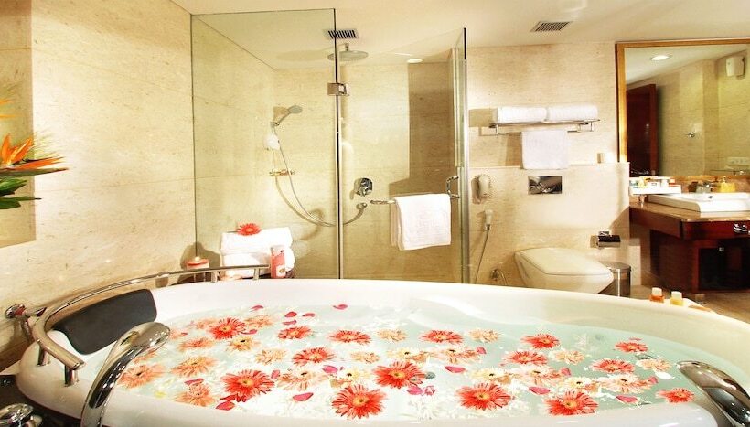 جناح ملكى, Skycity Hotel Gurgaon