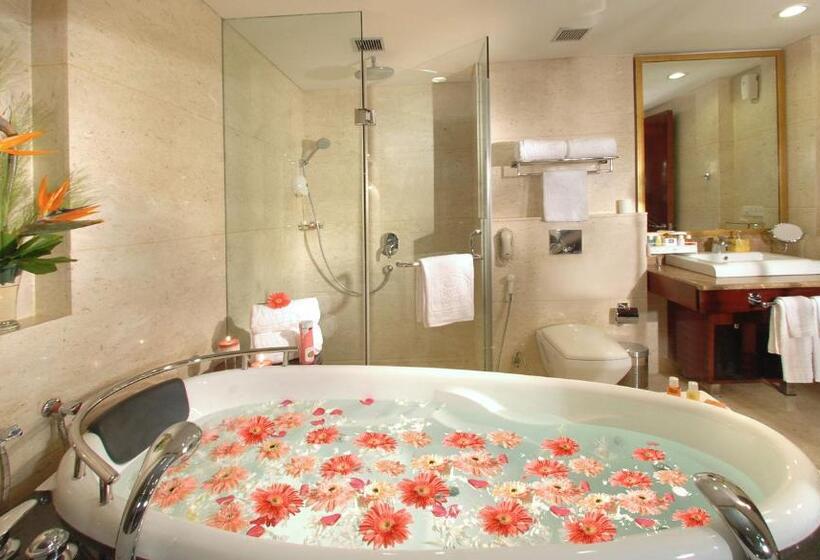 جناح ملكى, Skycity Hotel Gurgaon