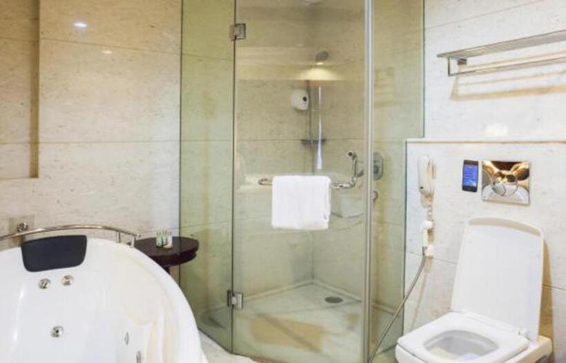 جناح ملكى, Skycity Hotel Gurgaon