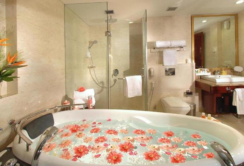 جناح ملكى, Skycity Hotel Gurgaon