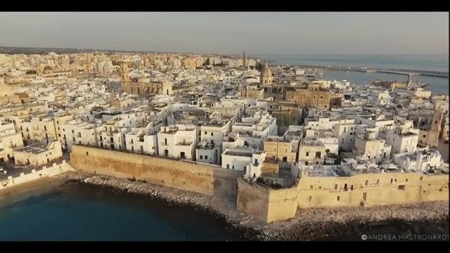 Camera Standard, Diamantea