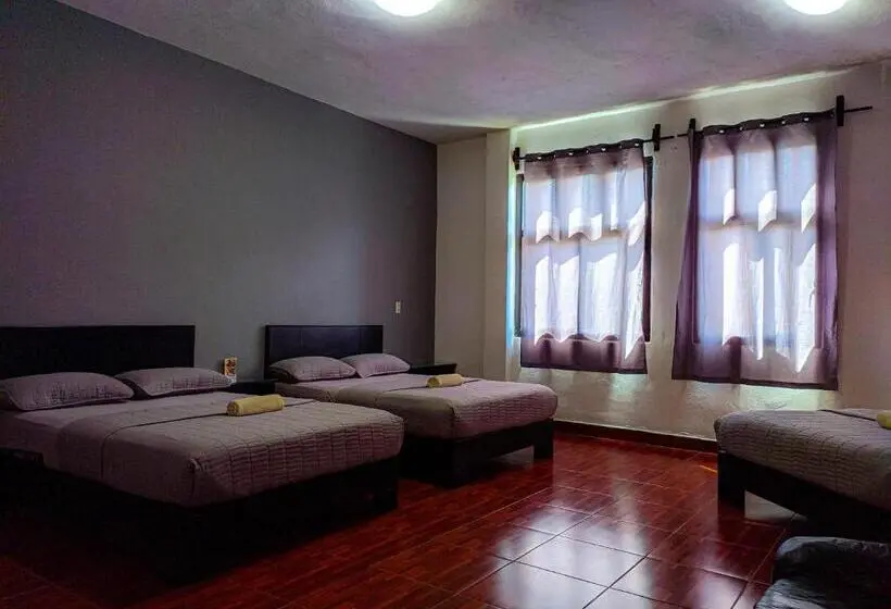 3-Bett-Standardzimmer, Zepeda