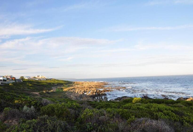 디럭스 테라스 룸 바다 전망, Zeezicht Guest House