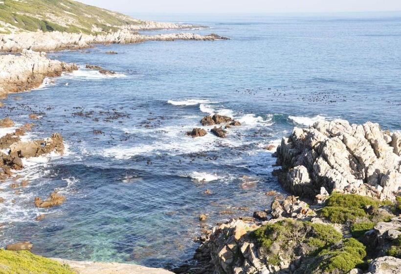 디럭스 룸 바다 전망, Zeezicht Guest House