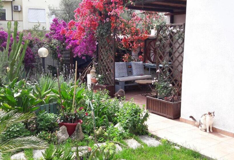 Quarto Estandar, Angolo Verde