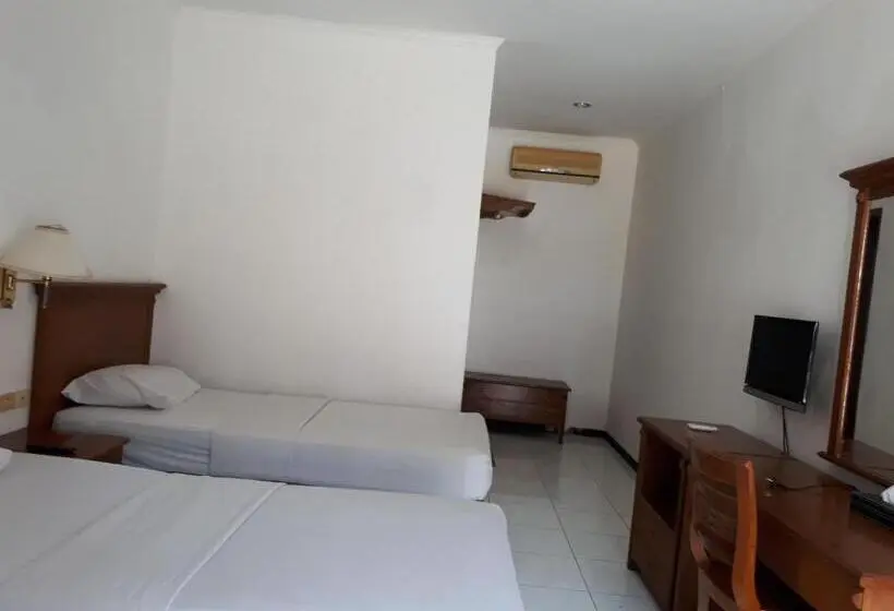 Habitació Deluxe, Semeru Park