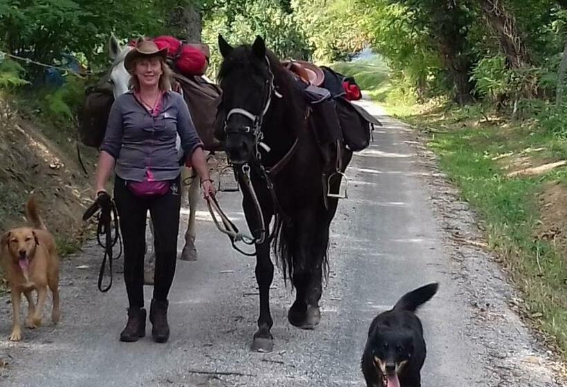 Номер Стандарт Вид на Горы, Le Relais Des Fees