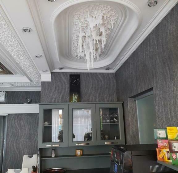 اتاق استاندارد با تراس, Vila Lemic Postojna