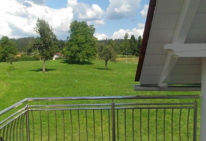 اتاق استاندارد با تراس, Vila Lemic Postojna