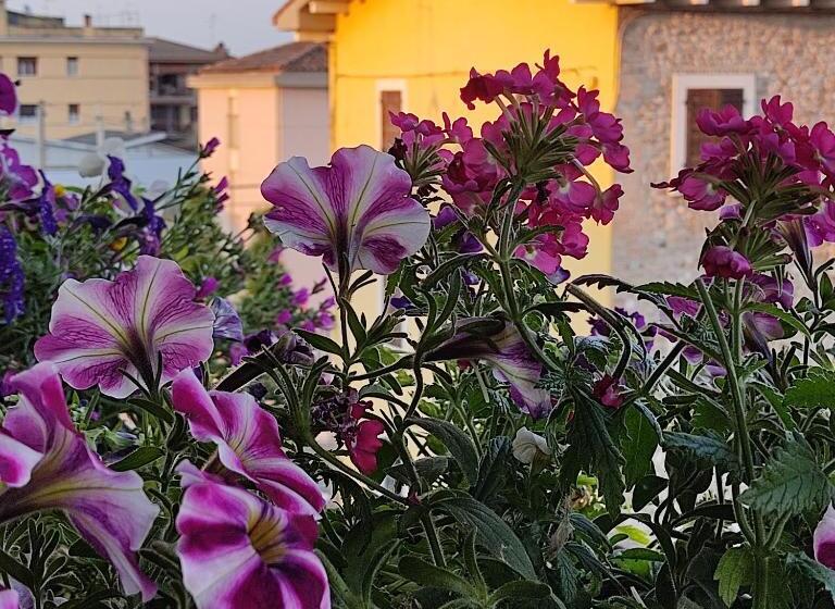 غرفة إقتصادية, Lovely Casa Paola Villlafranca Centro Zimmer Rooms