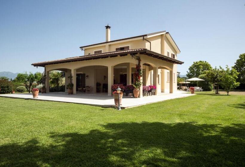 Номер Стандарт, B&b Samilu