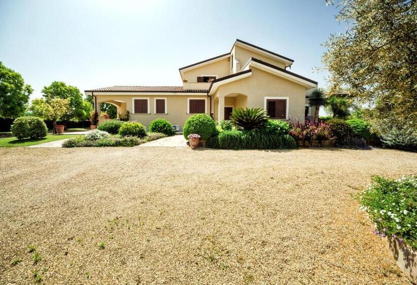 Номер Стандарт, B&b Samilu