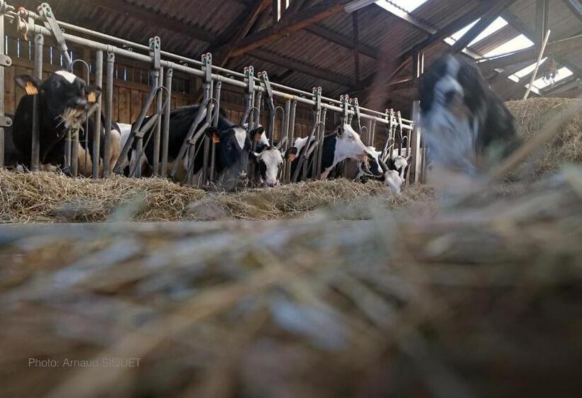 ガーデンビュースタンダードルーム, Ferme St Martin