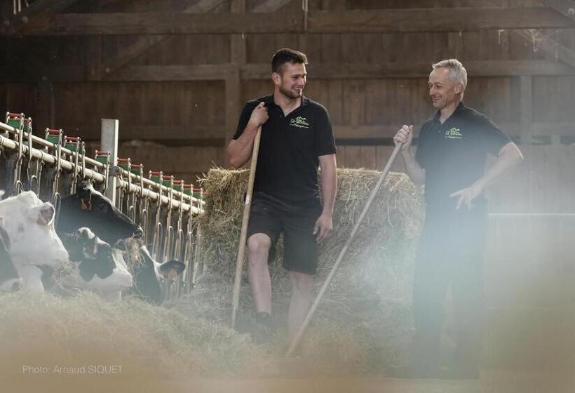 ガーデンビュースタンダードルーム, Ferme St Martin