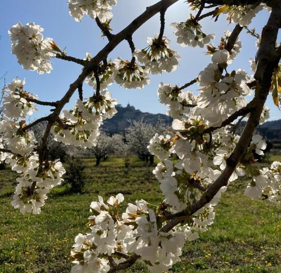 غرفة قياسية مزوَّدة بشُرفة, Rose