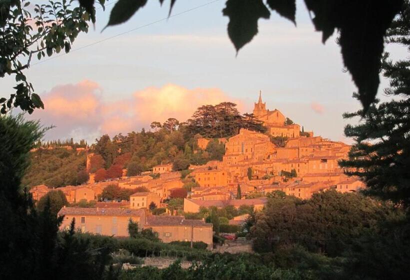 غرفة قياسية مزوَّدة بشُرفة, Rose