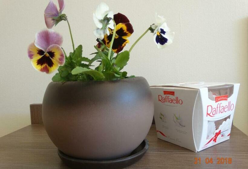 סטודיו משפחתי, Lago Peshtera