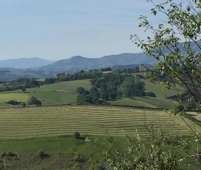 חדר סטנדרט נוף לבריכה, Ama Lur