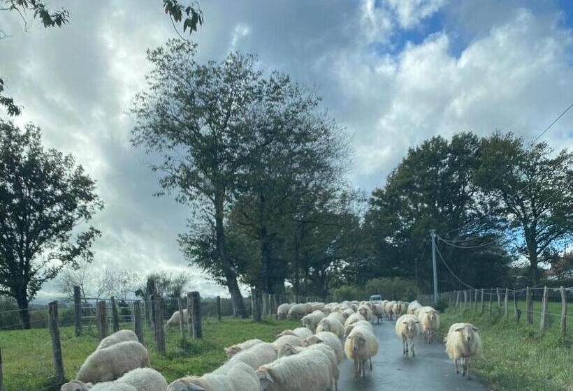 בית, 3 חדרי שינה, Ama Lur
